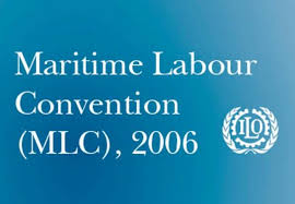 konsultan MLC 2006