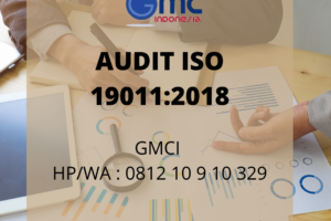 AUDIT ISO 19011:2018