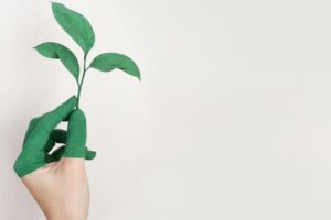 Tunas tanaman di tangan - simbol keberlanjutan lingkungan ISO 14001