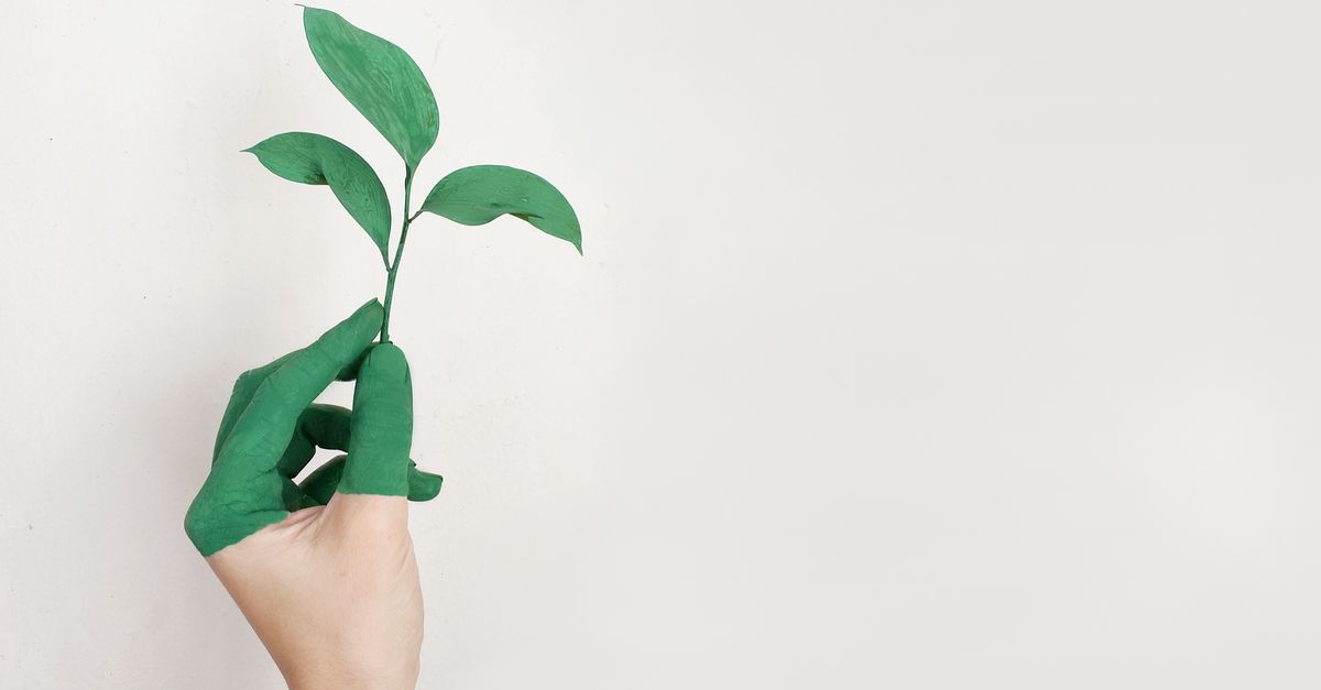 ISO 14001:2026 - Sistem Manajemen Lingkungan