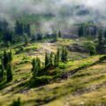 Hutan hijau dari udara sebagai simbol lingkungan