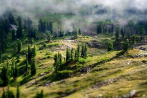 Hutan hijau dari udara sebagai simbol lingkungan